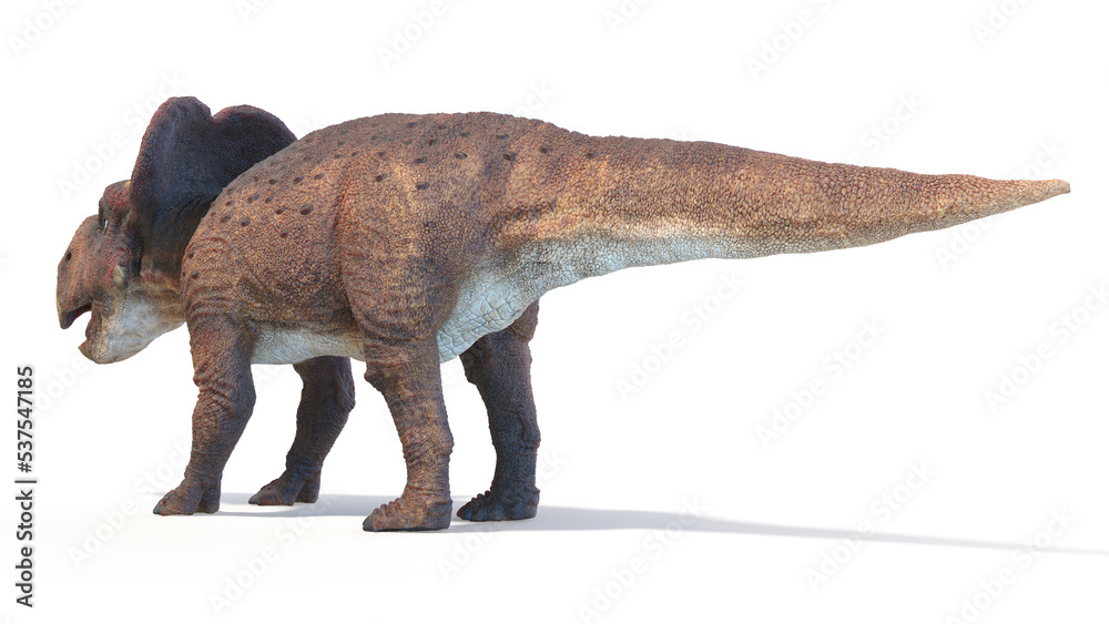 3d rendered dinosaur illustration of the Protoceratops