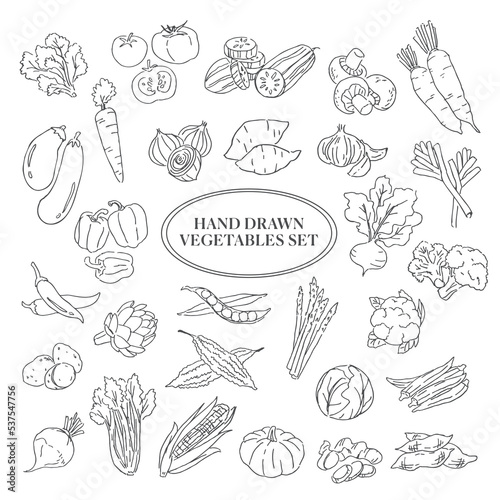Hand-drawn vegetables set on white background. Food ingredients vector illustration. photo