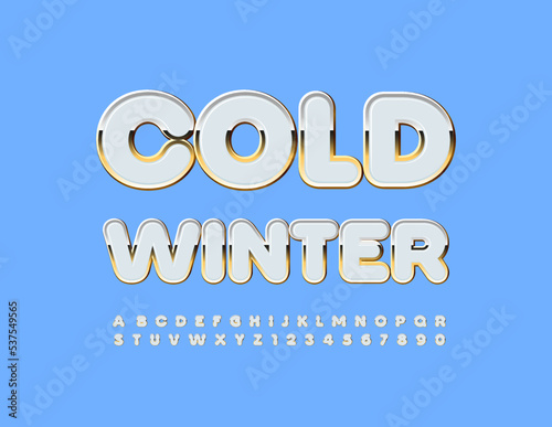 Vector holiday sign Cold Winter. Chic White Font. Decorative style Alphabet Letters and Numbers set