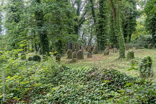 Closeup shot of an old Jewish cemetery in Rokycany, Czech Republic photo