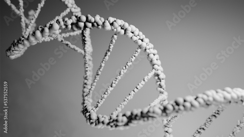 DNA Deoxyribonucleic acid, structure of double helix molecule, Polynucleotide chains, atoms, strands of human genetic structure 3D model illustration