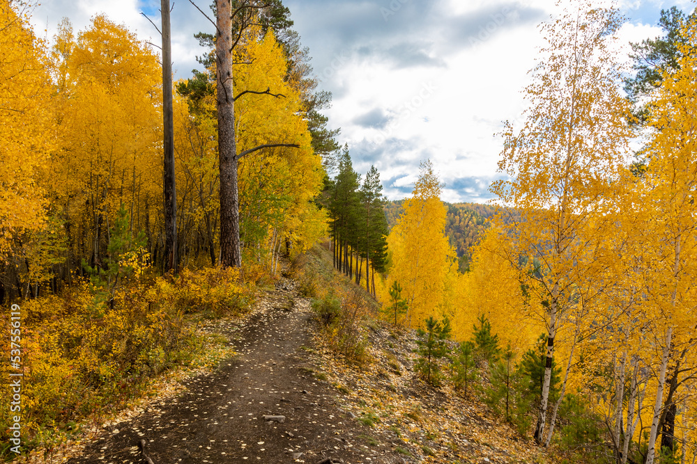 A narrow path along the edge of a hillside on an autumn day. Golden colorful landscape with autumn forest in mountain. Yellow birch and aspen trees in siberian taiga