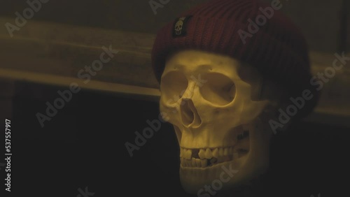 Wallpaper Mural A skull in a knitted hat in a dark room. Torontodigital.ca