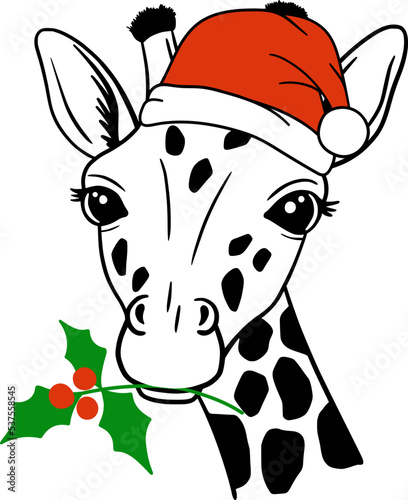 Christmas Giraffe. Portrait of a giraffe in santa hat and mistletoe branch. Good for posters, t shirts, postcards.