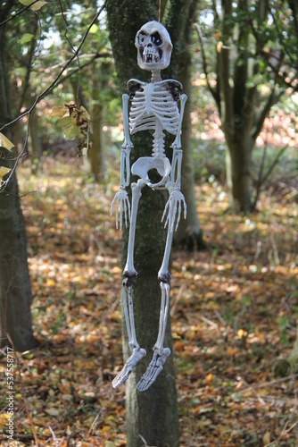 A Frightening Skeleton Figure Hanging from a Tree.