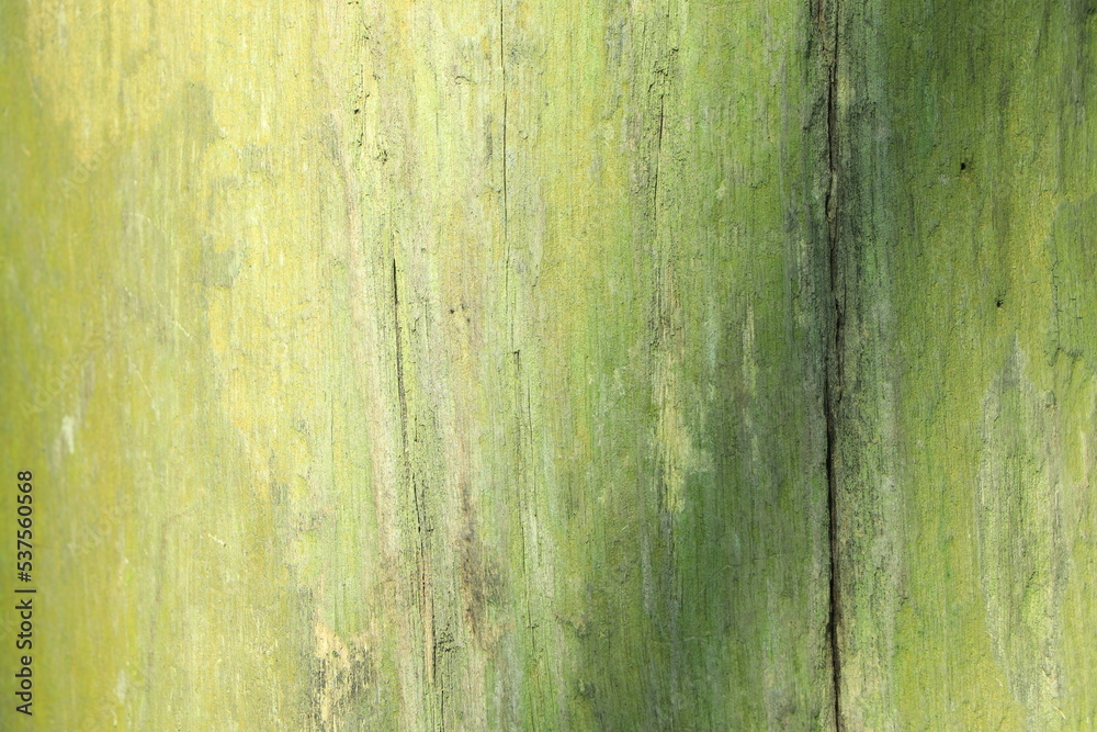 wooden texture surface in sunlight wooden texture surface in sunlight
