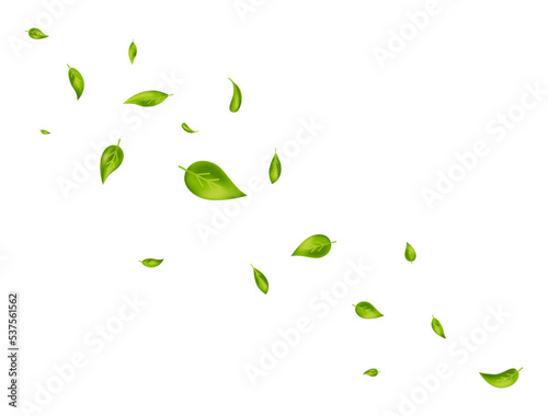 Green flying leaves wave. Organic cosmetic border. Leaf falling. Foliage ornament. Vegan, eco design element. Fresh tea background. Beauty product. Healthy food. Nature frame. Vector illustration