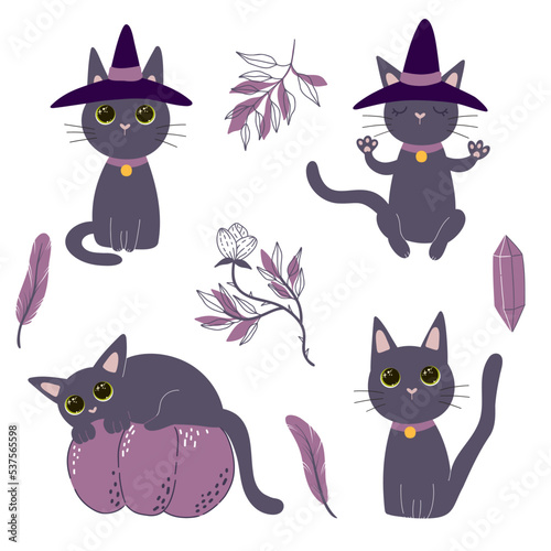 Vector set of a cute cartoon cat in a witch hat in different poses with feathers and flowers. Halloween mascot.