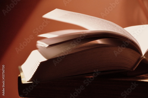 artsy book picture