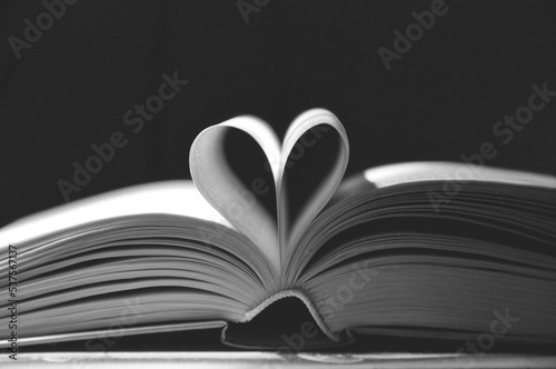artsy book picture