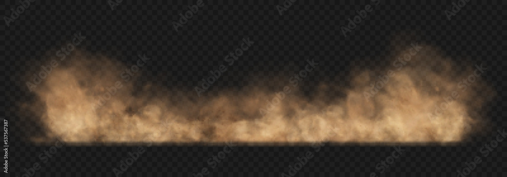 Dust sand cloud with stones and flying dusty particles isolated on transparent background. Brown dusty cloud or dry sand flying. Realistic vector illustration.