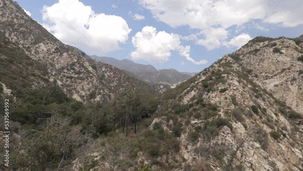 The California mountains are covered with steppe vegetation, but there are also forest areas.