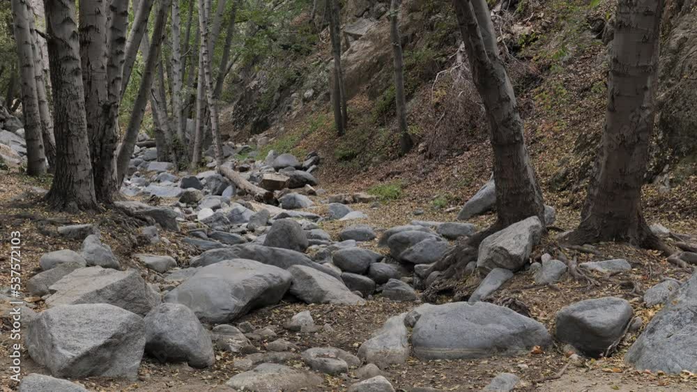 A dry river bed in a mountain forest in California. By autumn, many small rivers in California dry up. A dry river bed in a mountain forest in California. By autumn, many small rivers in California dry up.