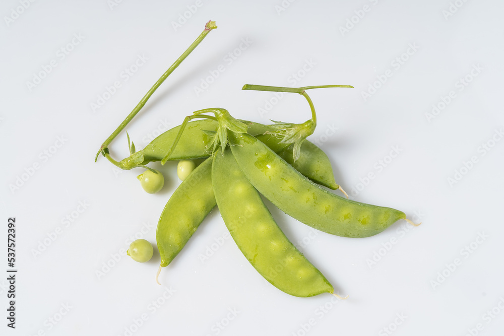 Fresh snow peas on monochrome background Fresh snow peas on monochrome background