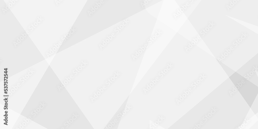 Obraz premium Abstract background with gray background with texture, white abstract modern background. Geometry shine and layer element vector for presentation design. Decorative web layout or poster, banner.design