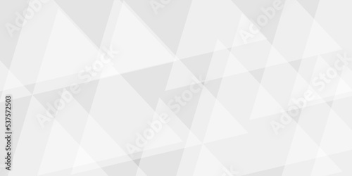 Abstract background with gray background with texture, white abstract modern background. Geometry shine and layer element vector for presentation design. Decorative web layout or poster, banner.design
