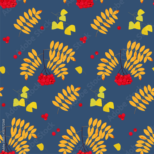 Seamless autumn pattern with birch and rowan leaves