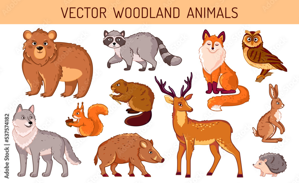 A set of forest animals on an isolated background. Bright and cute animals in cartoon style vector A set of forest animals on an isolated background. Bright and cute animals in cartoon style vector