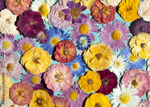 A group of various dried pressed flowers. Basic material for contemporary botanical art. Plants for scrapbooking, wedding invitations, greeting cards, gift box decorations. photo