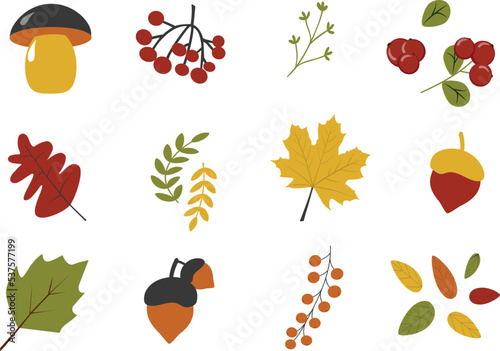 A set of autumn items in a cute cartoon style. Vector illustration of a group of objects. Template for the design of autumn holidays, postcards, stories, patterns, etc