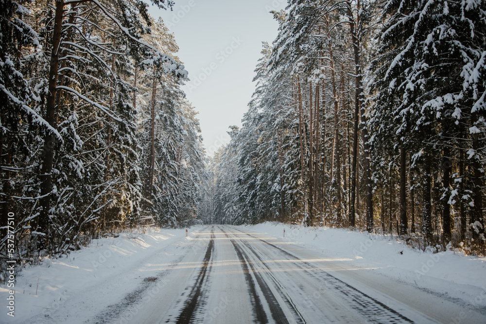 Obraz premium winter forest landscape with snow
