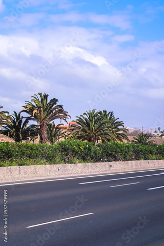 Tropical palm tree and street in Las Palmas duirng a sunny day