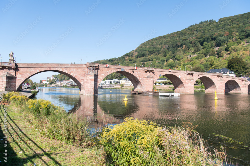 Alte Brücke Heidelberg 2
