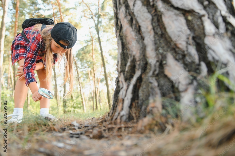 Rear view image of cute little girl exploring the nature with magnifying glass outdoor. Child playing in the forest with magnifying glass. Rear view image of cute little girl exploring the nature with magnifying glass outdoor. Child playing in the forest with magnifying glass.
