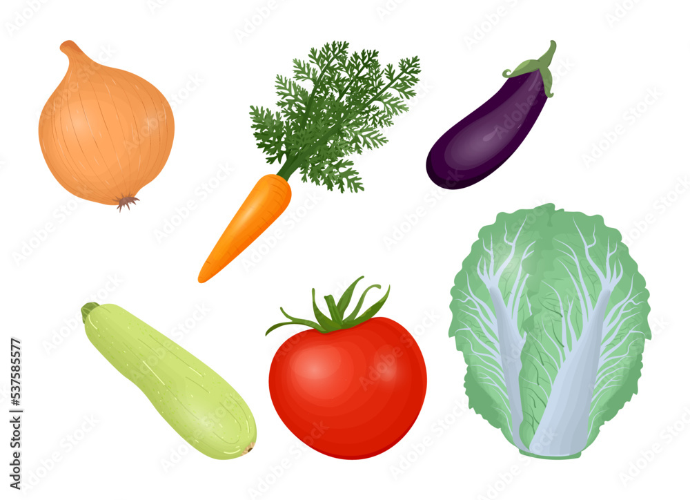Hand drawn set of individual images of fresh vegetables Hand drawn set of individual images of fresh vegetables