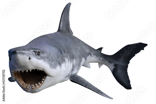 Billede på lærred Shark isolated on white background. Great White Shark Attack.