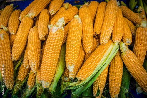 Top view of uncooked sweet corn