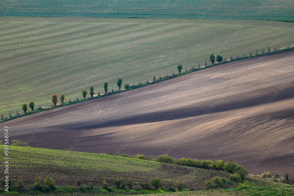 Cultivated fields in Czech Moravia, patterns and lines on the ground. Czech Tuscany