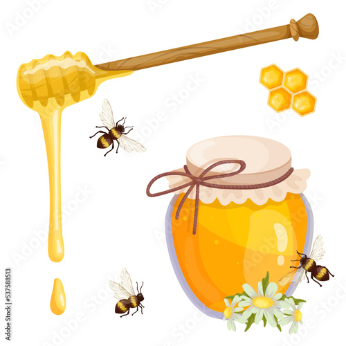 A jar of honey, a wooden spindle spoon, a honeycomb with honey bees. Cartoon vector graphics.