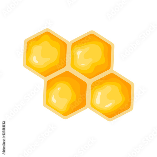 Honeycomb of honey bees.Cartoon vector graphic.