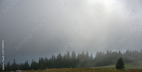 querformat, fichtenwald im nebel, am schöckl photo