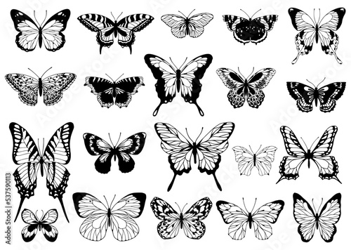 Large collection of sketches of various vintage butterflies.Vector graphics.