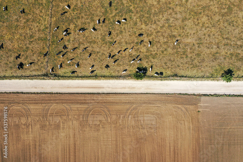 Top-down view of fields