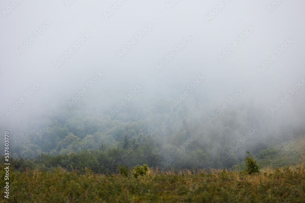 Bieszczady meadows covered with fog