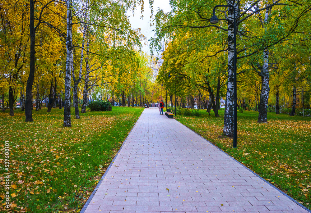 Pedestrian path in a beautiful autumn birch park in Izhevsk, Russia.