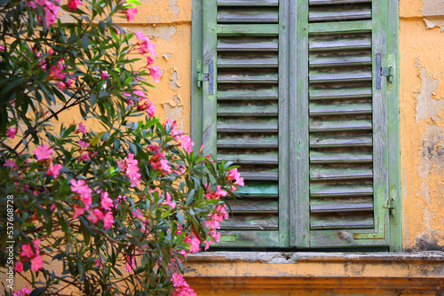 Fototapeta Naklejka Na Ścianę i Meble -  Green rustic Mediterranean window and pink oleander flowers in Split, Croatia. Selective focus.