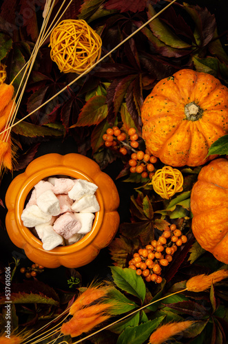 Thanksgiving close-up Autumn festive table background with pumpkin top view branches of sea buckthorn berries a pumpkin-shaped pot surrounded by leaves and dried flowers, branches with leaves