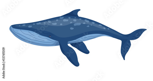 Marine mammal blue whale.Cartoon vector graphic.