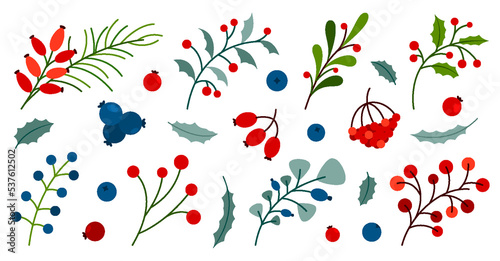 Winter autumn berry plant leaf branch sprout fruit colorful flat set. Holly wild rose viburnum blueberry sea buckthorn lingonberry cranberry. Floral element festive decor card sticker print isolated