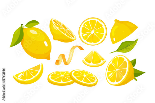 Lemon vector set. Collection of lemon fruits, halves, and slices  isolated on white background
