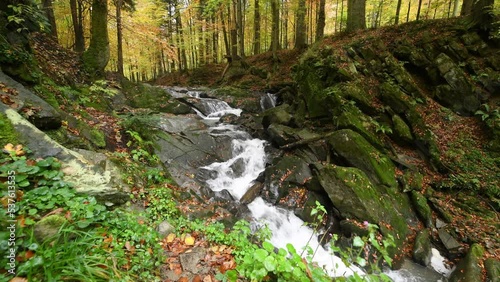 waterfall in autumn forest photo