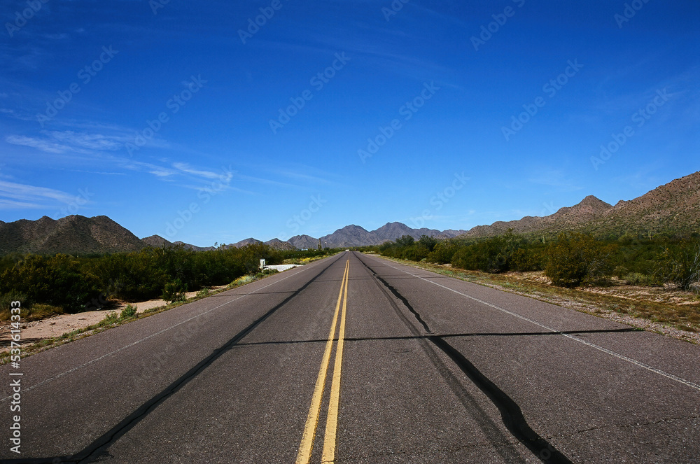 The Middle Road Arizona Desert