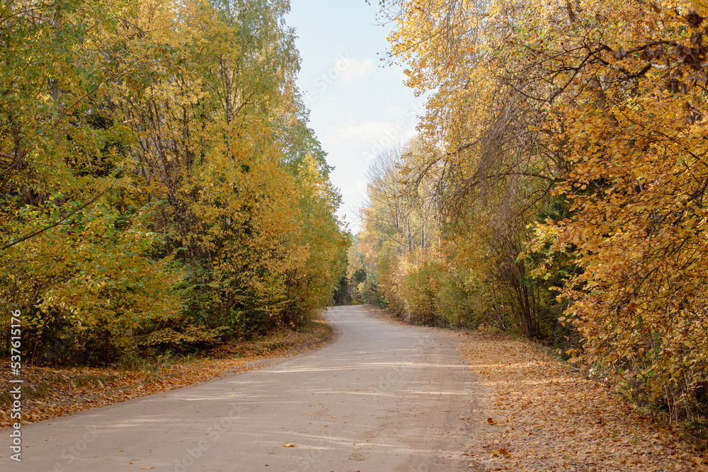 Rural road with surrounding forest in Kangari in October in Latvia