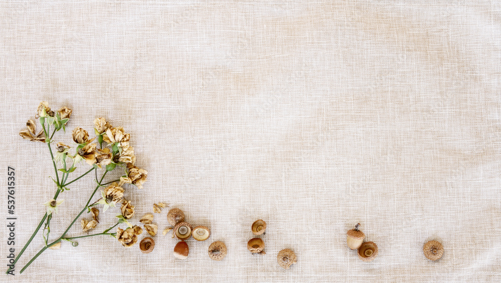 Fall banner of small dried roses and acorns; bottom border over a rustic woven cloth background Fall banner of small dried roses and acorns; bottom border over a rustic woven cloth background