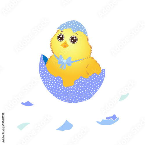 Funny yellow newborn chicken with a bow in broken egg shell, cute emoji character vector Illustration