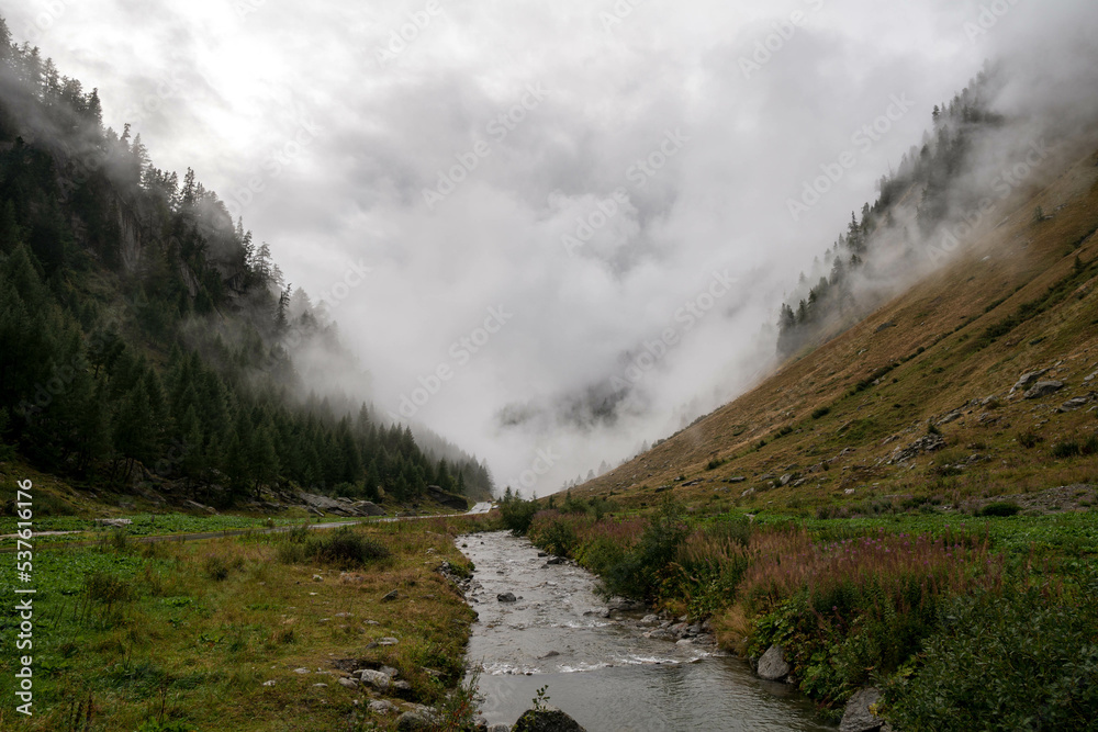 Φωτογραφία wooded mountain slope in swiss alps with fog and clouds in the morning